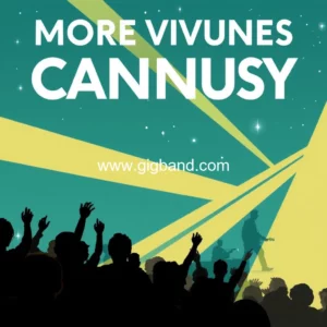 Read more about the article More Venues  Cheaper Ticket Prices : Findings From The Annual Australian Live Music Census